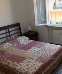 Parma, stanza matrimoniale uso singolo Parma, stanza matrimoniale uso singolo