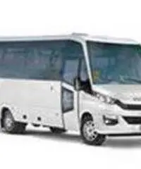Indbus minibus Linea - Turismo p31 + 1 + 1 Daily euro 6