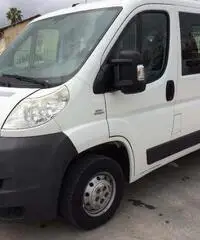Fiat ducato 9 posti panorama 2.3 mj 120 cv clima Fiat ducato 9 posti panorama 2.3 mj 120 cv clima