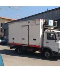 CAMION CELLA FRIGO PERFETTO