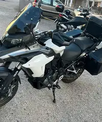 Benelli trk 502