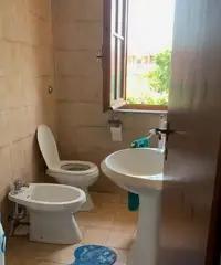 Lido dei Pini - Ardea (RM) - giugno