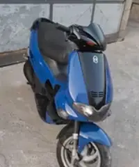Runner 50 Runner 50
