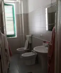 Stanze studentesse Stanze studentesse