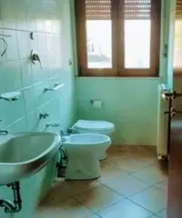 Civitanova centro corso Vittorio Emanuele