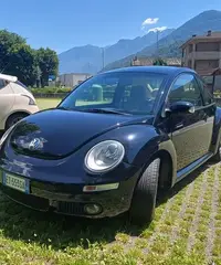 VW New Beetle