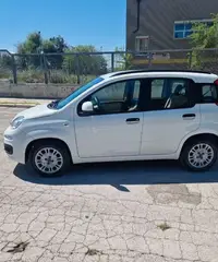 FIAT Panda 3ª serie - 2015