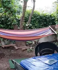 Last minute villino Riva di Ugento 13 al 20/7 Last minute villino Riva di Ugento 13 al 20/7