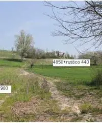 Rudere e terreno agricolo mq 5200