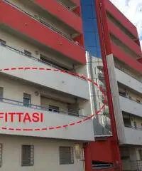 Stanza singola a Quattromiglia per ragazza Stanza singola a Quattromiglia per ragazza