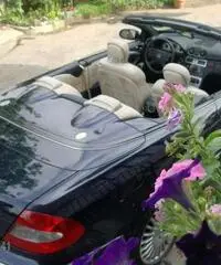 Mercedes clk kompass cabriolet Mercedes clk kompass cabriolet