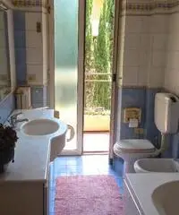EUR centrale, ampia STANZA con bagno EUR centrale, ampia STANZA con bagno