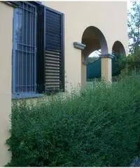 Casa indipendente a Arezzo 180mq Casa indipendente a Arezzo 180mq