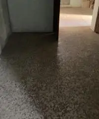 Villa stile Liberty del 1900 indipendente con giardino Alseno  (PC)