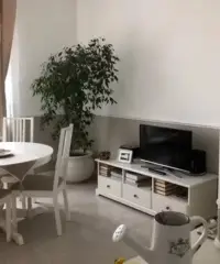 Trilocale ristrutturato Trilocale ristrutturato