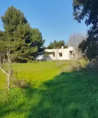 Terreno edificio Terreno edificio