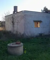 Terreno edificio Terreno edificio