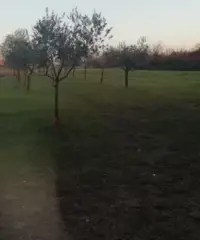 Terreno agricolo Terreno agricolo