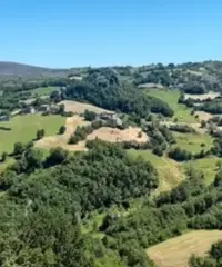Rustico ampio con 2 appartamenti e giardino Rustico ampio con 2 appartamenti e giardino