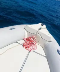 Gommone marlin 20 Gommone marlin 20