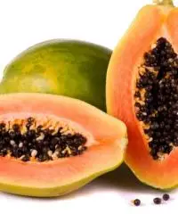 Piante papaya Piante papaya