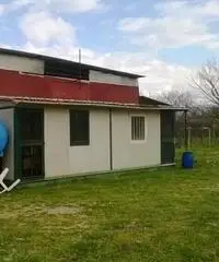 Somma Vesuviana : Deposito in affitto Somma Vesuviana : Deposito in affitto