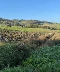 Terreno edificabile per villa mono/ bifamiliare a Tordenaso Terreno edificabile per villa mono/ bifamiliare a Tordenaso
