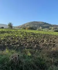 Terreno edificabile per villa mono/ bifamiliare a Tordenaso Terreno edificabile per villa mono/ bifamiliare a Tordenaso