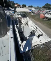 Aquasport 222 Explorer