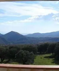 Stabile/Palazzo a Torre Orsaia