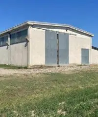 Terreno  Agricolo di 8 ha con pozzo e stalla a Sissa Trecasali Terreno  Agricolo di 8 ha con pozzo e stalla a Sissa Trecasali