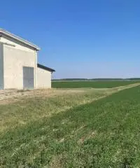 Terreno  Agricolo di 8 ha con pozzo e stalla a Sissa Trecasali Terreno  Agricolo di 8 ha con pozzo e stalla a Sissa Trecasali