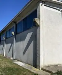 Terreno  Agricolo di 8 ha con pozzo e stalla a Sissa Trecasali Terreno  Agricolo di 8 ha con pozzo e stalla a Sissa Trecasali
