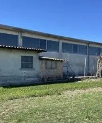 Terreno  Agricolo di 8 ha con pozzo e stalla a Sissa Trecasali Terreno  Agricolo di 8 ha con pozzo e stalla a Sissa Trecasali