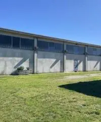 Terreno  Agricolo di 8 ha con pozzo e stalla a Sissa Trecasali Terreno  Agricolo di 8 ha con pozzo e stalla a Sissa Trecasali