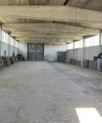 Terreno  Agricolo di 8 ha con pozzo e stalla a Sissa Trecasali Terreno  Agricolo di 8 ha con pozzo e stalla a Sissa Trecasali