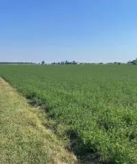 Terreno  Agricolo di 8 ha con pozzo e stalla a Sissa Trecasali Terreno  Agricolo di 8 ha con pozzo e stalla a Sissa Trecasali
