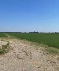 Terreno  Agricolo di 8 ha con pozzo e stalla a Sissa Trecasali Terreno  Agricolo di 8 ha con pozzo e stalla a Sissa Trecasali