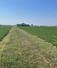 Terreno  Agricolo di 8 ha con pozzo e stalla a Sissa Trecasali Terreno  Agricolo di 8 ha con pozzo e stalla a Sissa Trecasali