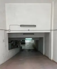 Magazzino - Cavallino