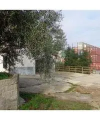 Livorno: Magazzino Altro 118mq