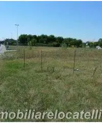 Terreno a Mondolfo 5000mq