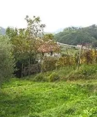 Rustico a Lucca 150mq