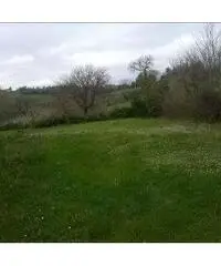 Ripe Vendita Rustico 600mq