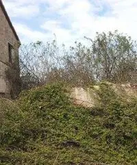 Rustico Altro - Corinaldo Rustico Altro - Corinaldo