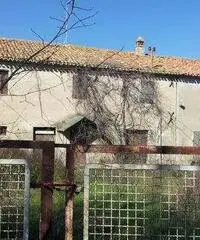 Rustico a Senigallia in provincia di Ancona 450mq Rustico a Senigallia in provincia di Ancona 450mq