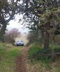 Rustico Altro - Ostra Rustico Altro - Ostra