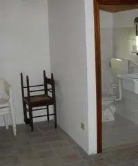 Rustico - Senigallia Rustico - Senigallia