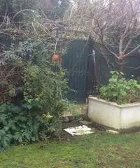 Appartamento - Senigallia Appartamento - Senigallia