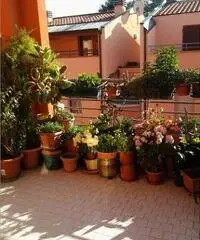 Senigallia: Appartamento Altro 180mq